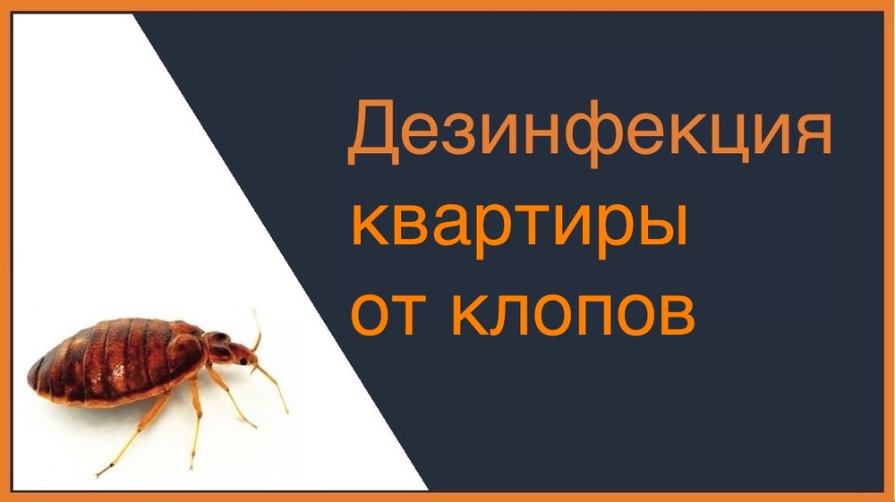 Дезинфекция квартиры от клопов в Ульяновске